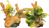 Driftwood Centerpiece With Plants