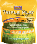 Triple Rye Grass Seed