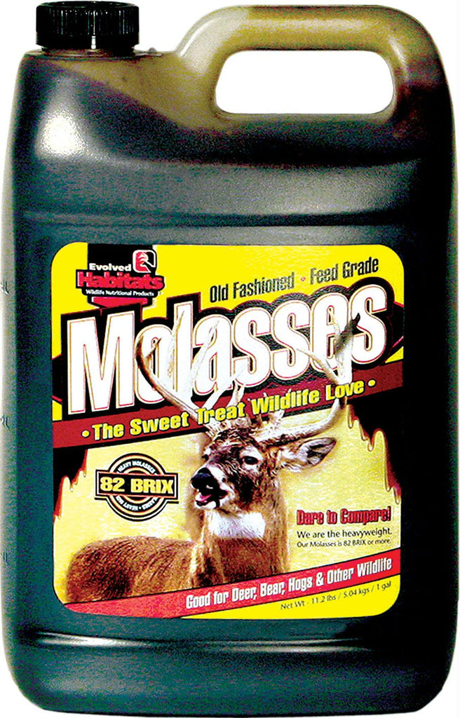 Molasses Wildlife