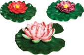 Floating Lily Pad Variety Pack