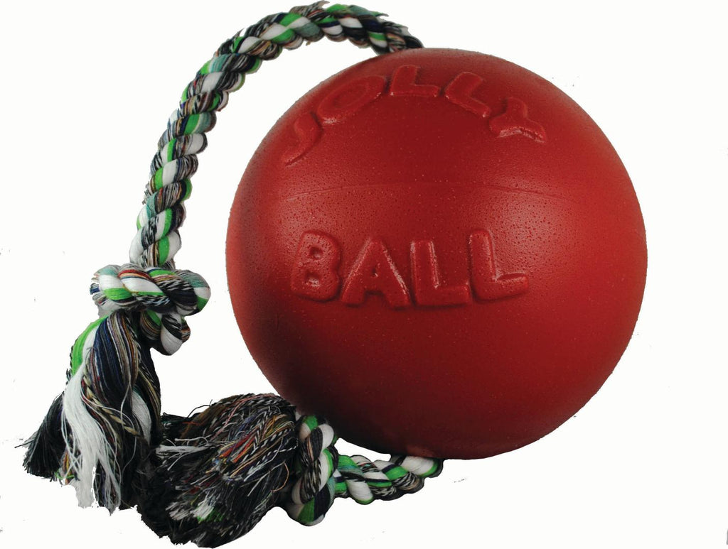 Romp-n-roll Ball Dog Toy