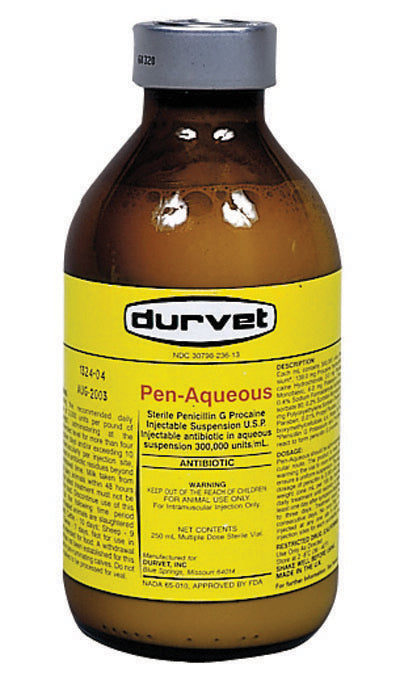 Pen-aqueous G Procain
