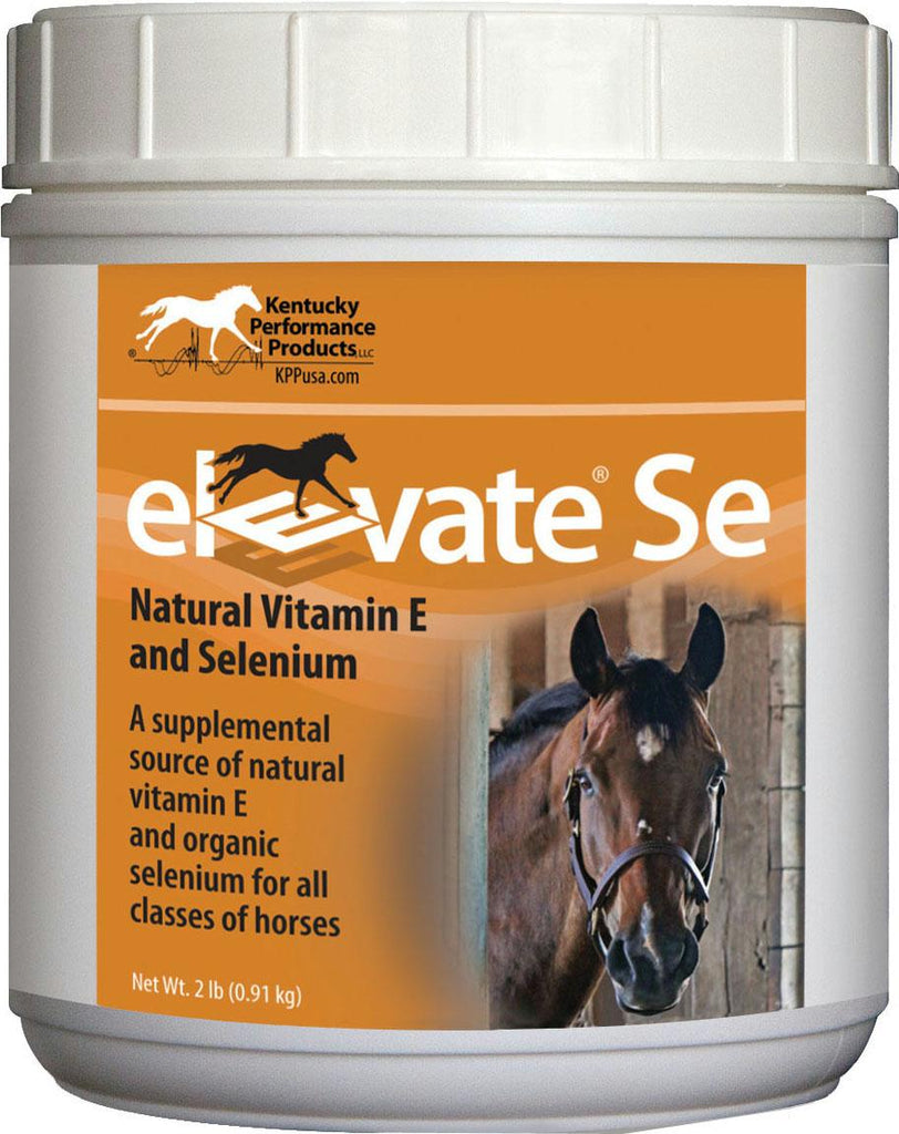 Elevate Se Vit E & Selenium Powder For Horses