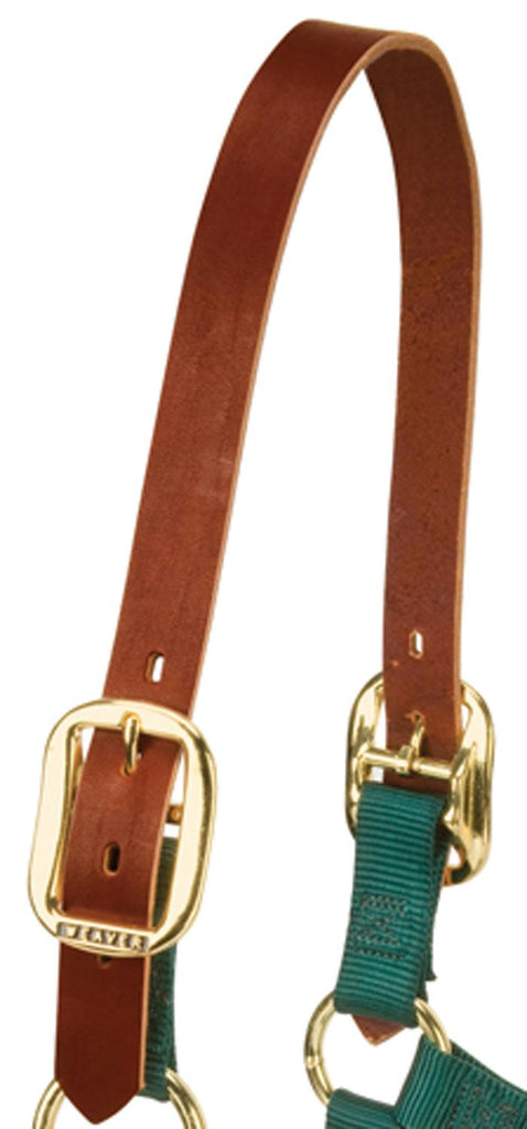 Replacement Crown Leather For Halters
