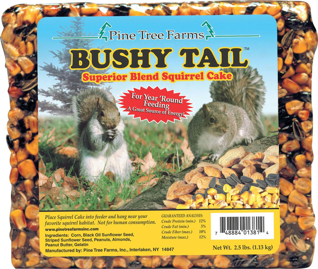 Bushy Tail Squirrel Cake