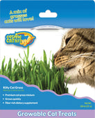 Cosmic Catnip Kitty Cat Grass