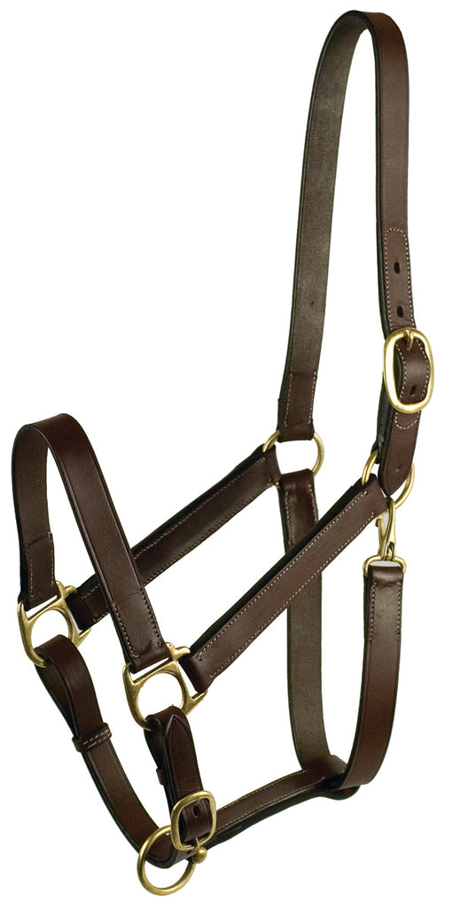 Stable Halter With Snap