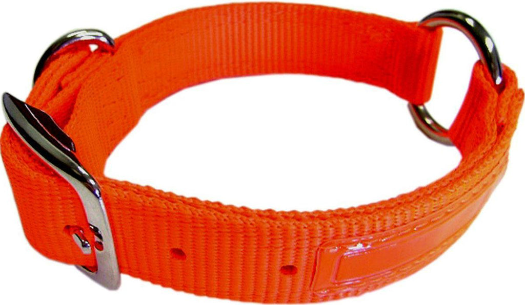 Safe-rite Dog Collar With Tape