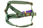 Adjustable Easy On Dog Harness