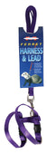 Ferret Harness And Lead