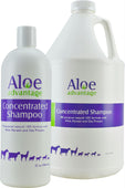 Aloe Advantage Concentrated Shampoo 10x