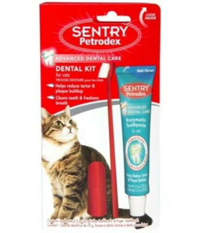 Cat Toothbrush And Toothpaste No Rinse Dental Care Kit Clean Teeth Fresh Breath